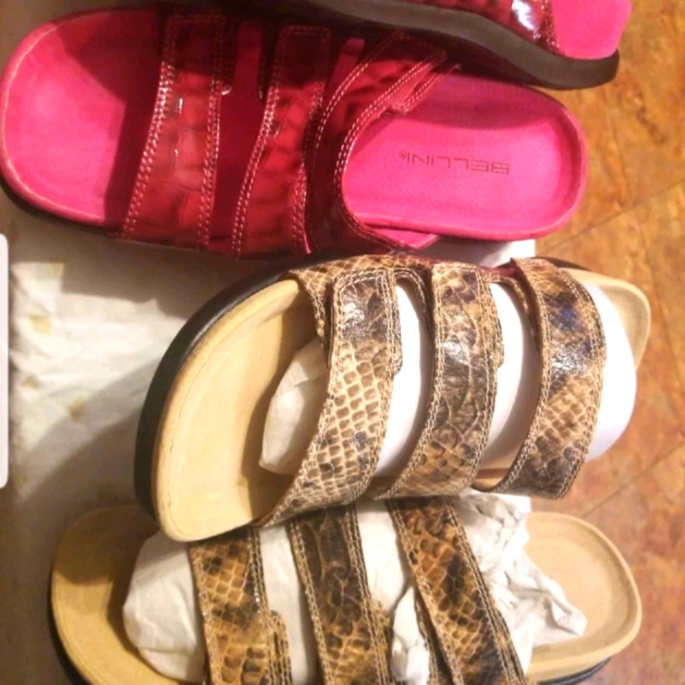 Bellini size 10 bundle deal